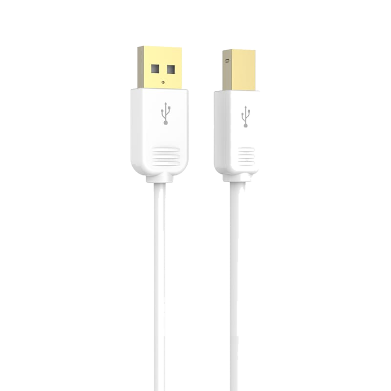 USB Type A 转 B 2.0 打印机线缆 - MP366